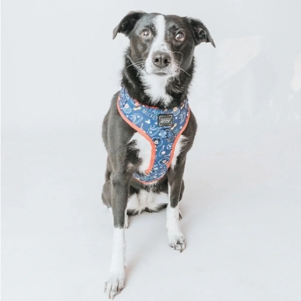 Disney Mickey Dog Harness Some X-Large